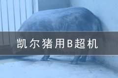 獸用b超機(jī)會給養(yǎng)豬場帶來哪些效益？